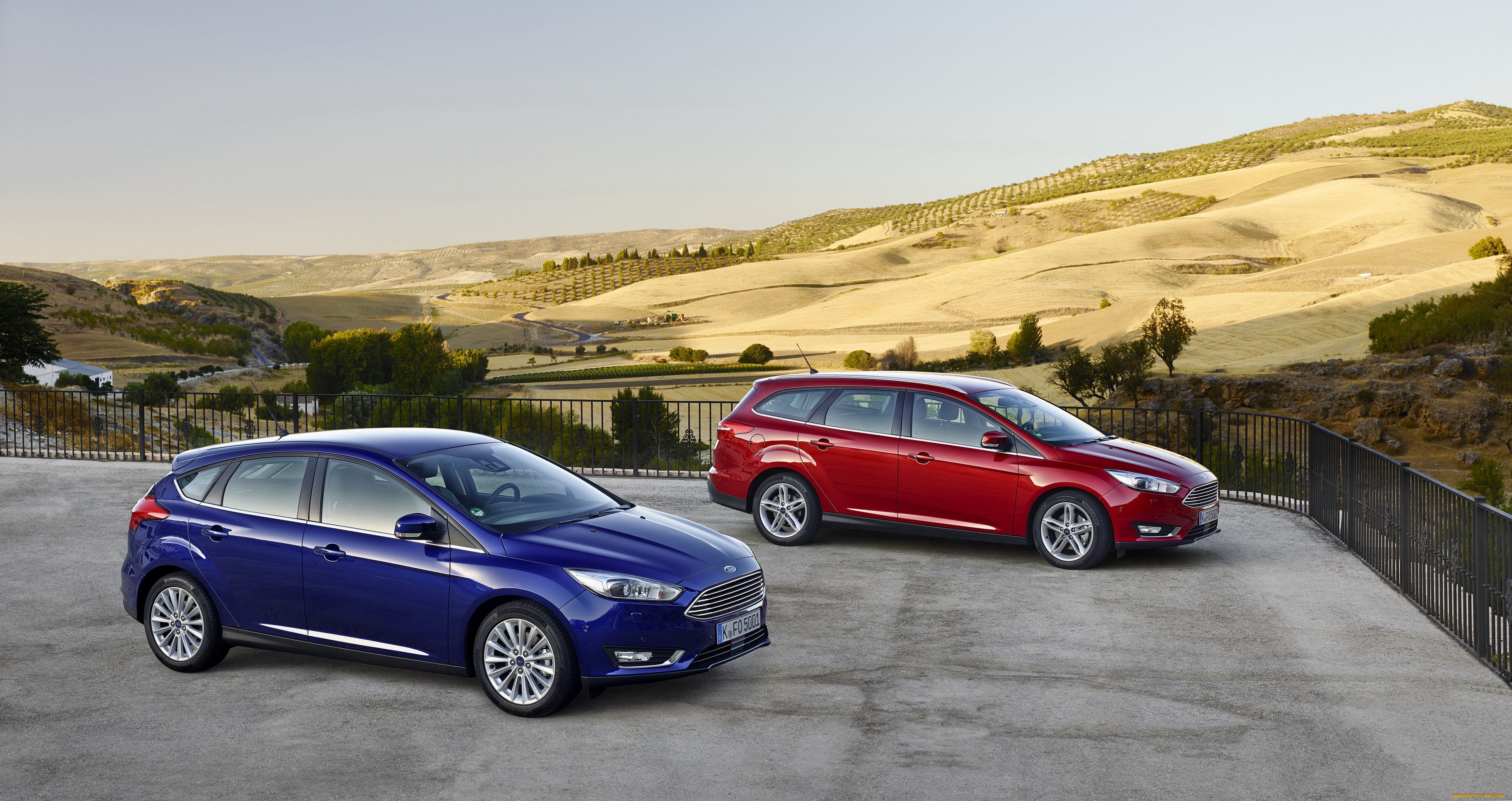 2014 ford focus sw, , ford, , , , focus